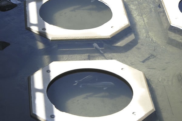 オーネスト(魚巣根固ブロック)